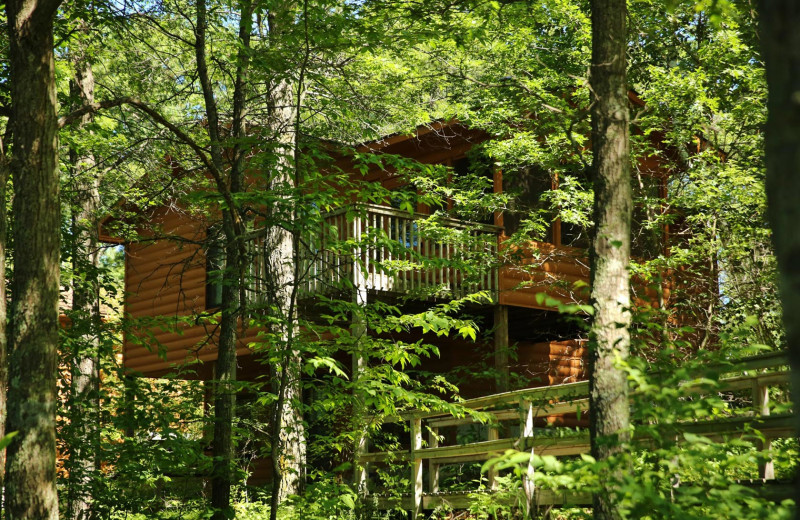 Cabin exterior at Pine Terrace Resort.