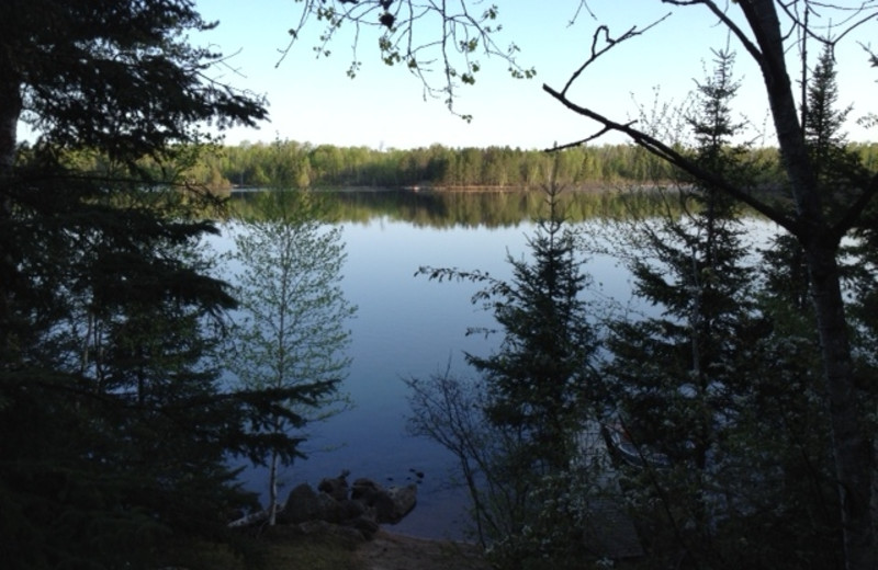 Timber Wolf Lodge (Ely, MN) Resort Reviews