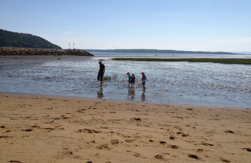 Beach near Auberge Aux Petits Oiseaux.