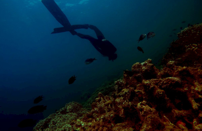 Diving at Chesapeake Beach Resort.