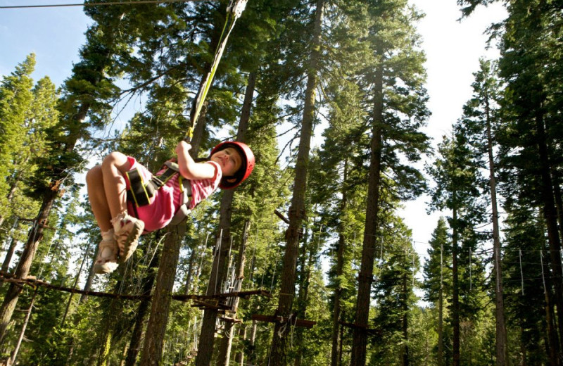 Treetop Adventure Park at Granlibakken Resort.