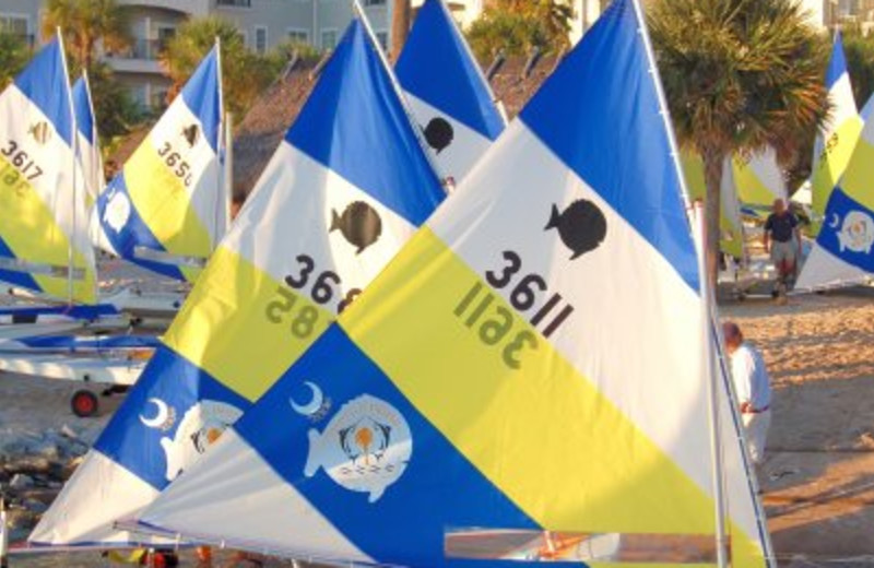Marina Sailing at Charleston Harbor Resort