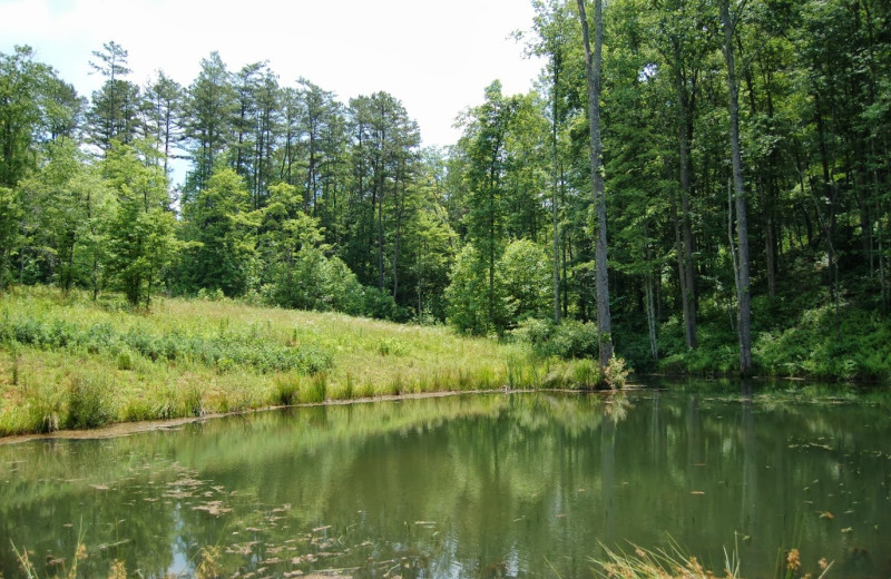 Fishing pond at Cuddle Up Cabin Rentals.