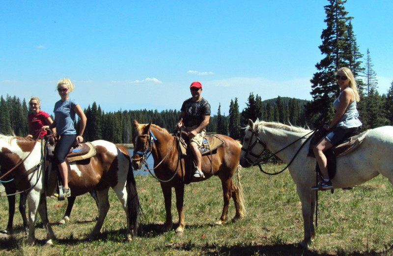 Horseback riding at Hotchkiss Inn.