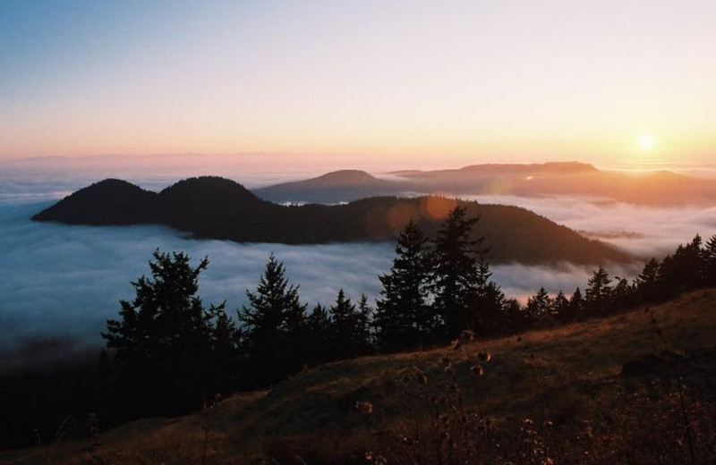 Orcas Islands at Turtleback Farm Inn.