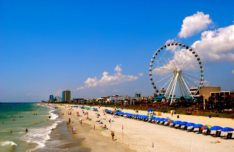 Myrtle beach at Paradise Resort.