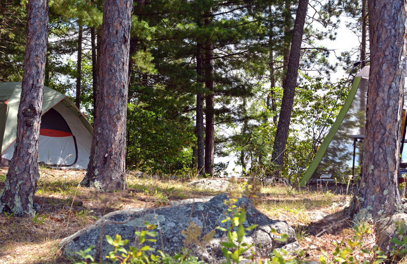 Campground at Zup's Fishing Resort and Canoe Outfitters.