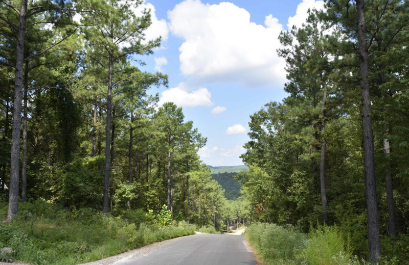 Road to rental at White Glove Luxury Cabins.