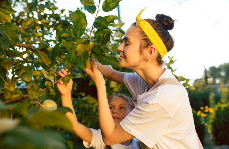 Orchards at Mountain Oasis Cabin Rentals.