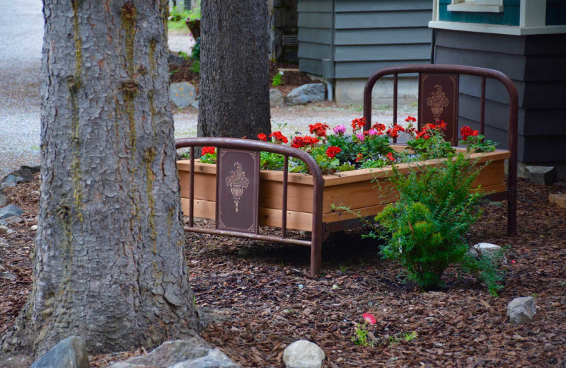 Garden at Johnston Canyon Lodge & Bungalows.