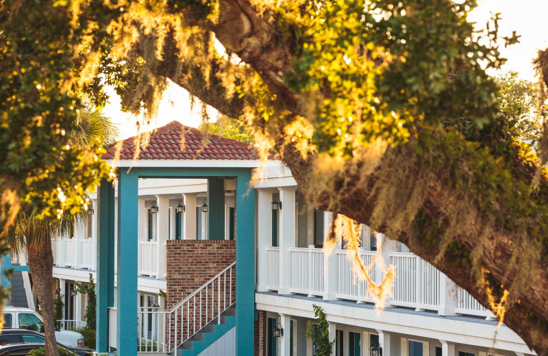 Exterior view of Southern Oaks Inn.