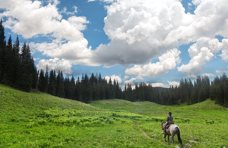 Horseback riding at Wild Skies Cabin Rentals.