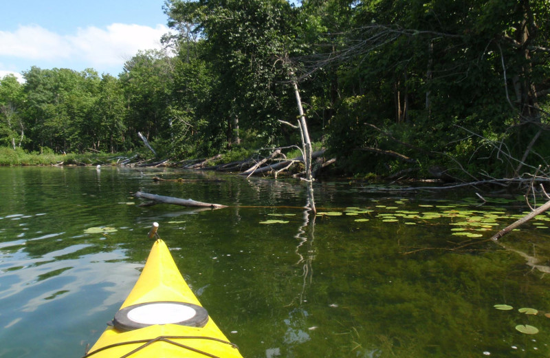 Kayaking at Pine Terrace Resort.