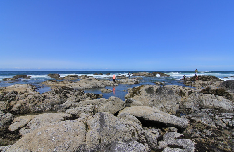 The beach at Beachfront Vacation Rentals.