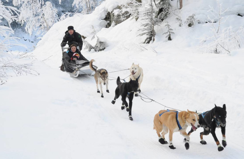 Dog sled rides at Four Seasons Resort Whistler.