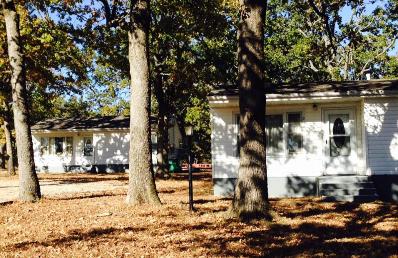 Cabins at Batty's Resort.