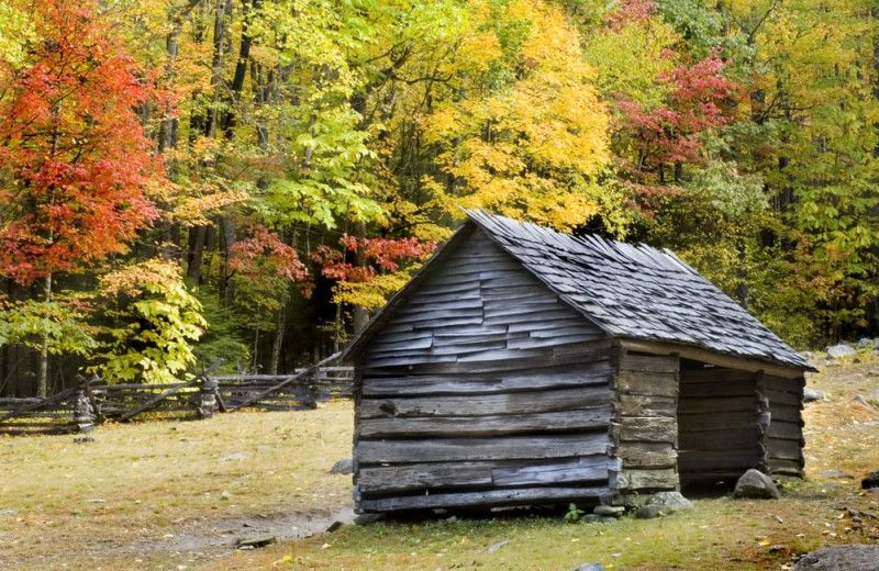 Cades Cove near Under Canvas Great Smoky Mountains.