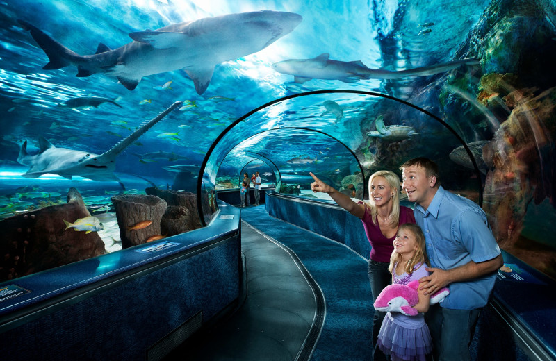 Aquarium near Forest Dunes Ocean Front.