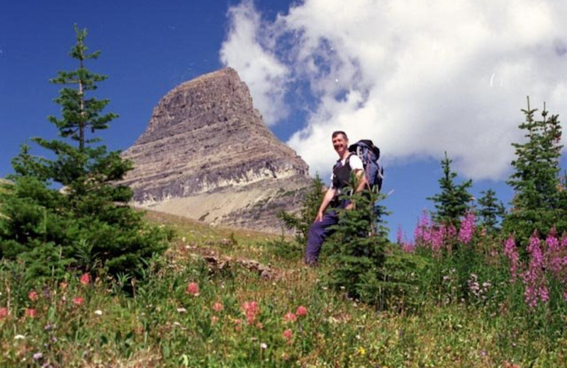 Hiking in Glacier National Park by Izaak Walton Inn.