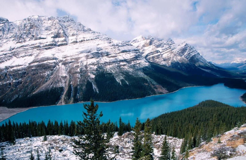 Peyto Lake near Johnston Canyon Resort.
