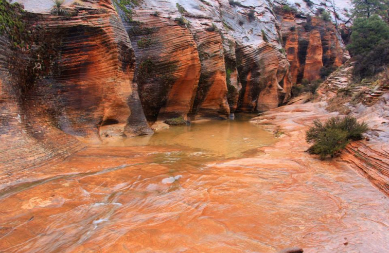 Zion National Park near The Inn at St. George.