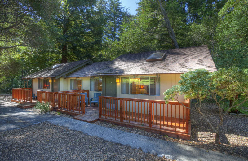 Cabins at Big Sur Lodge.