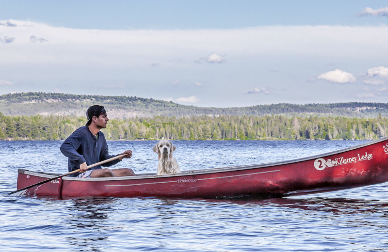 Canoeing at Killarney Lodge in Algonquin Park.