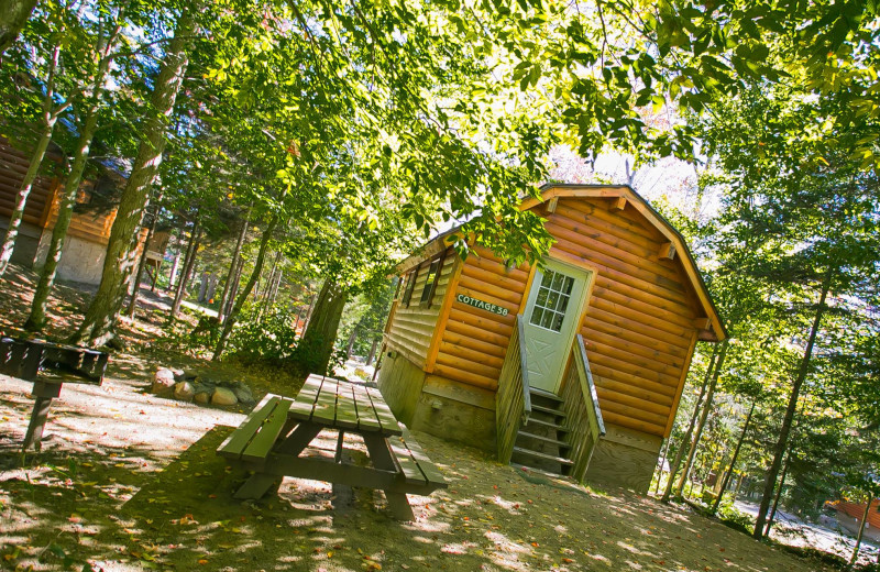 Cabin exterior at Old Forge Camping Resort.