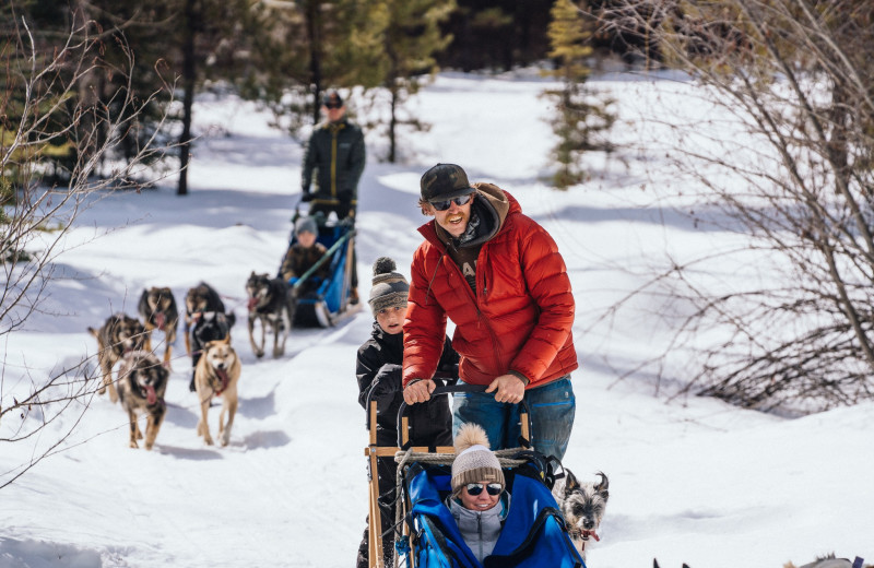 Dog sledding at The Resort at Paws Up.