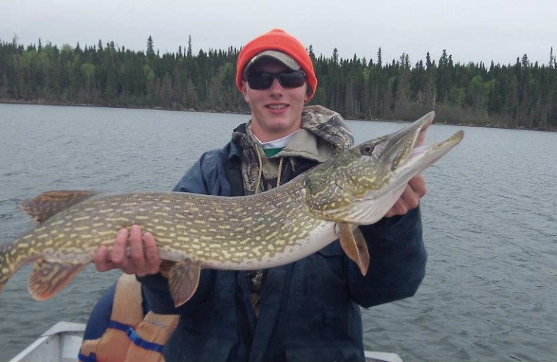 Northern pike caught at Sandy Beach Lodge.