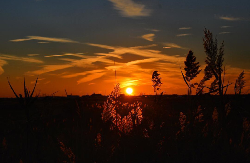 Beach sunset at Sea Scape Inn.