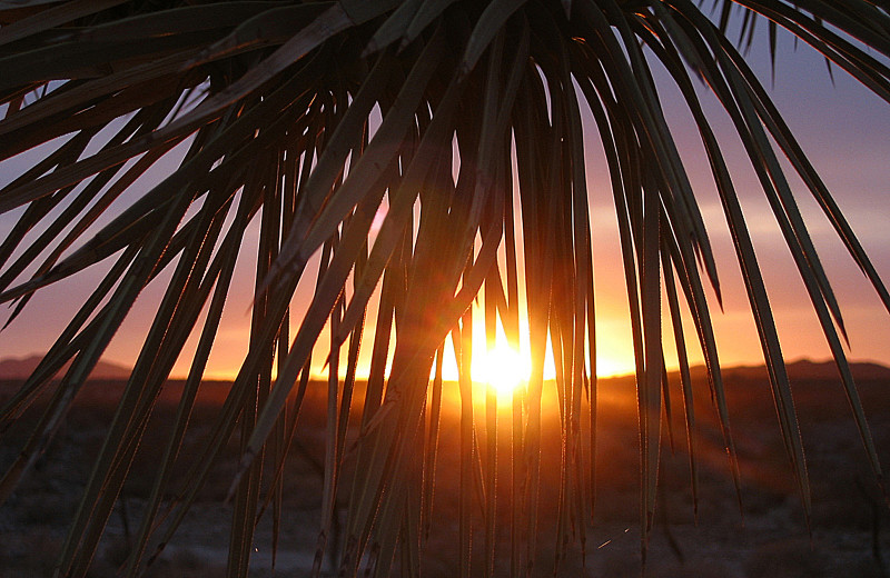 Sunset at Stagecoach Trails Guest Ranch.