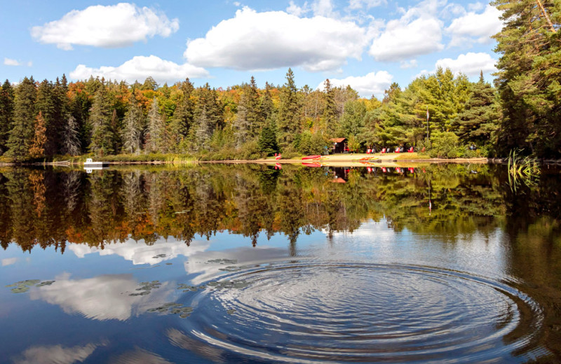 Lake view at Killarney Lodge in Algonquin Park.