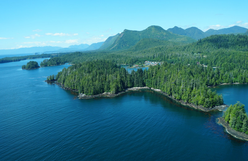 Aerial view of area at Walters Cove Resort.