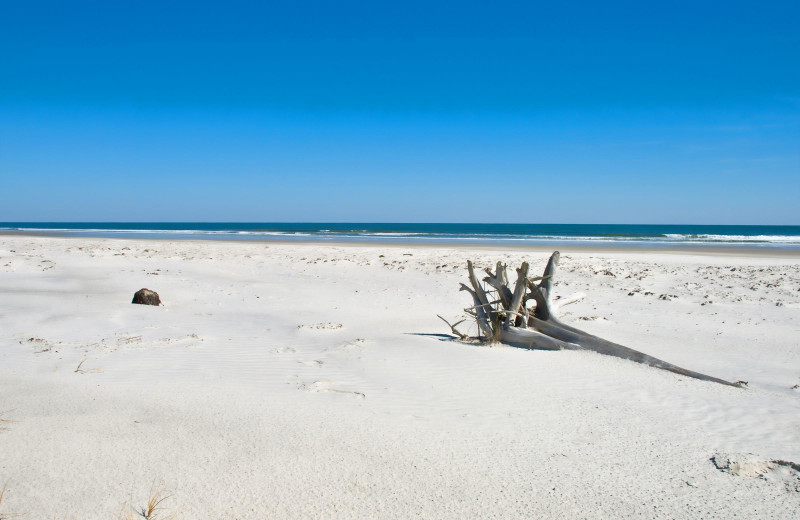 Little Talbot Island State Park near Amelia Island Rentals, Inc.