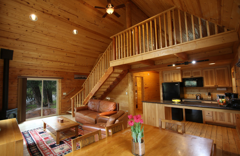 Cabin interior at Mt. Princeton Hot Springs Resort.