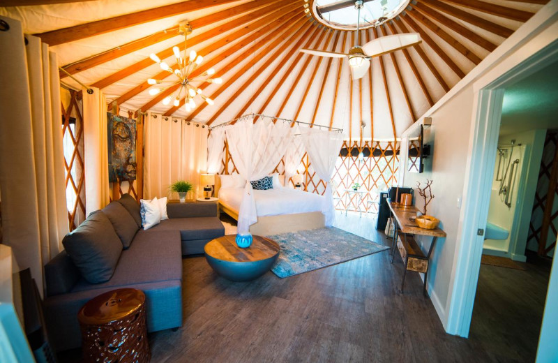 Yurt interior at Escalante Yurts.