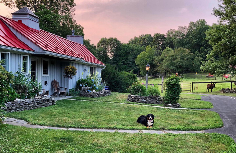 Exterior view of WhistleWood Farm.