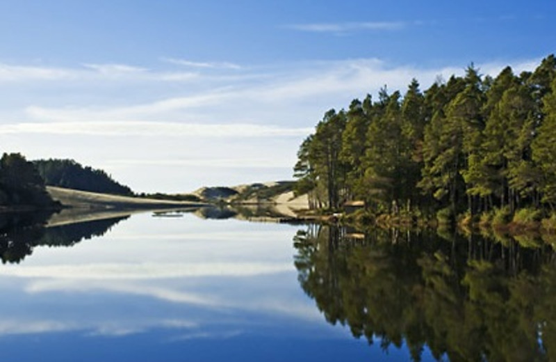 Shoreline view at Driftwood Shores Resort.