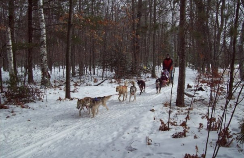 Dog sleds at Wild Eagle Lodge.