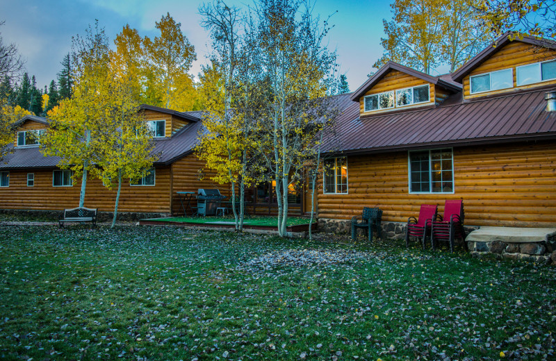 Exterior view of Alpine Forest Lodge.