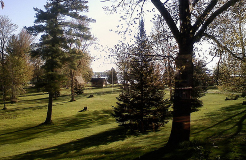 Area Surrounding Mohawk Resort