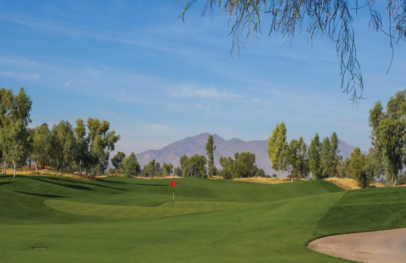 Golf at Harrah's Ak-Chin Casino Resort.