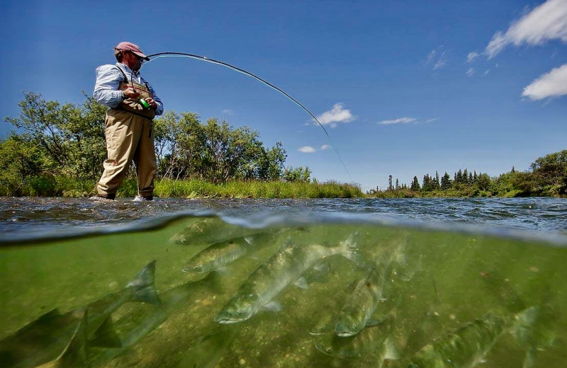 Fishing at Alaska Trophy Adventures Lodge.