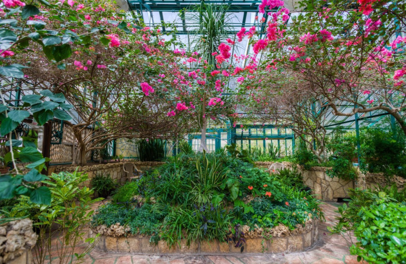 Greenhouse at Mo-Ranch.