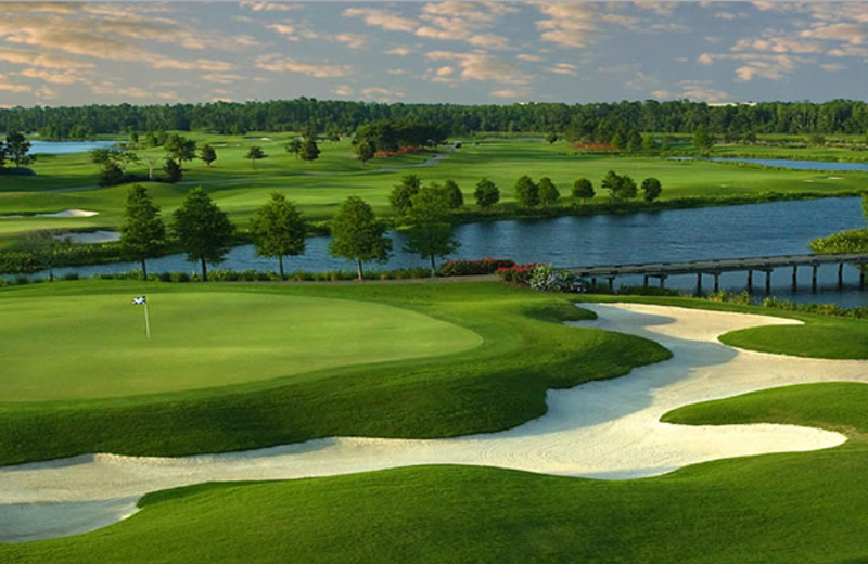 Golf in Orlando during your stay!