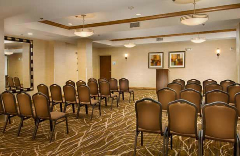 Meeting Room at Holiday Inn Express Alexandria