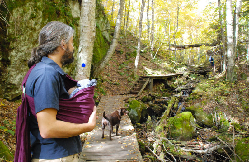 Hiking at Wolf Den Hostel and Nature Retreat.