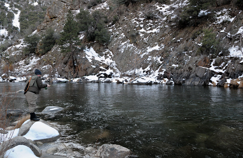 Fishing near Elevation Accommodations.