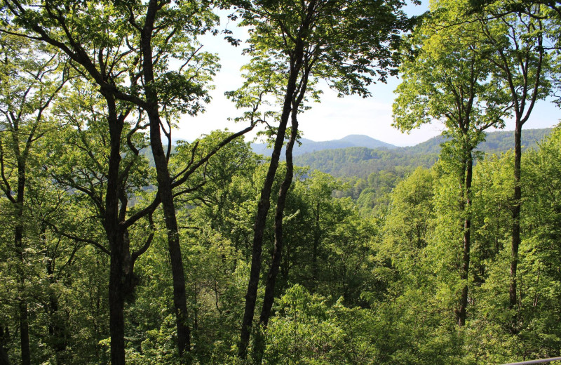 Mountain view at Chambers Realty & Vacation Rentals.